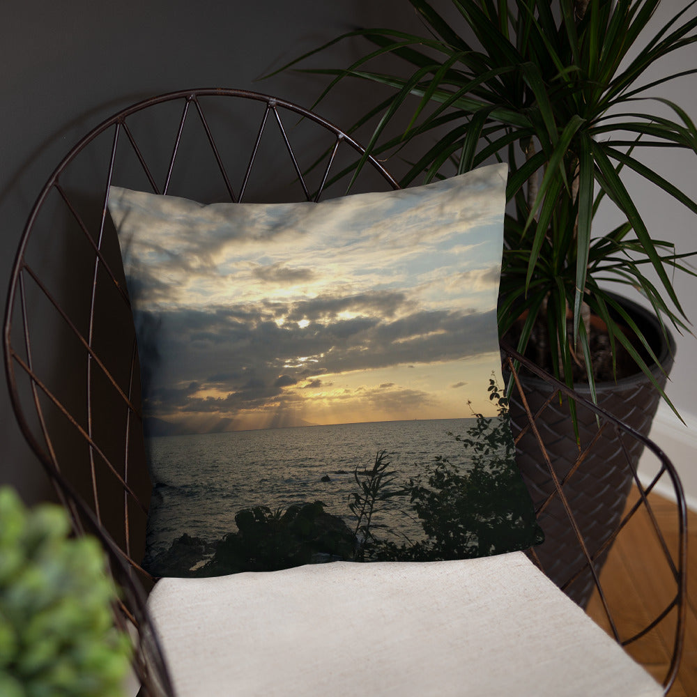 Presence of Mind Pillow