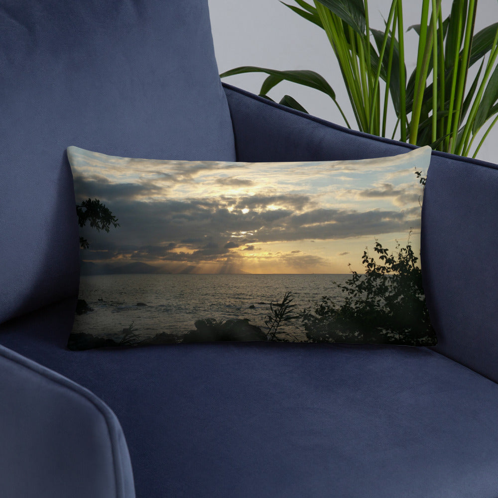 Presence of Mind Pillow