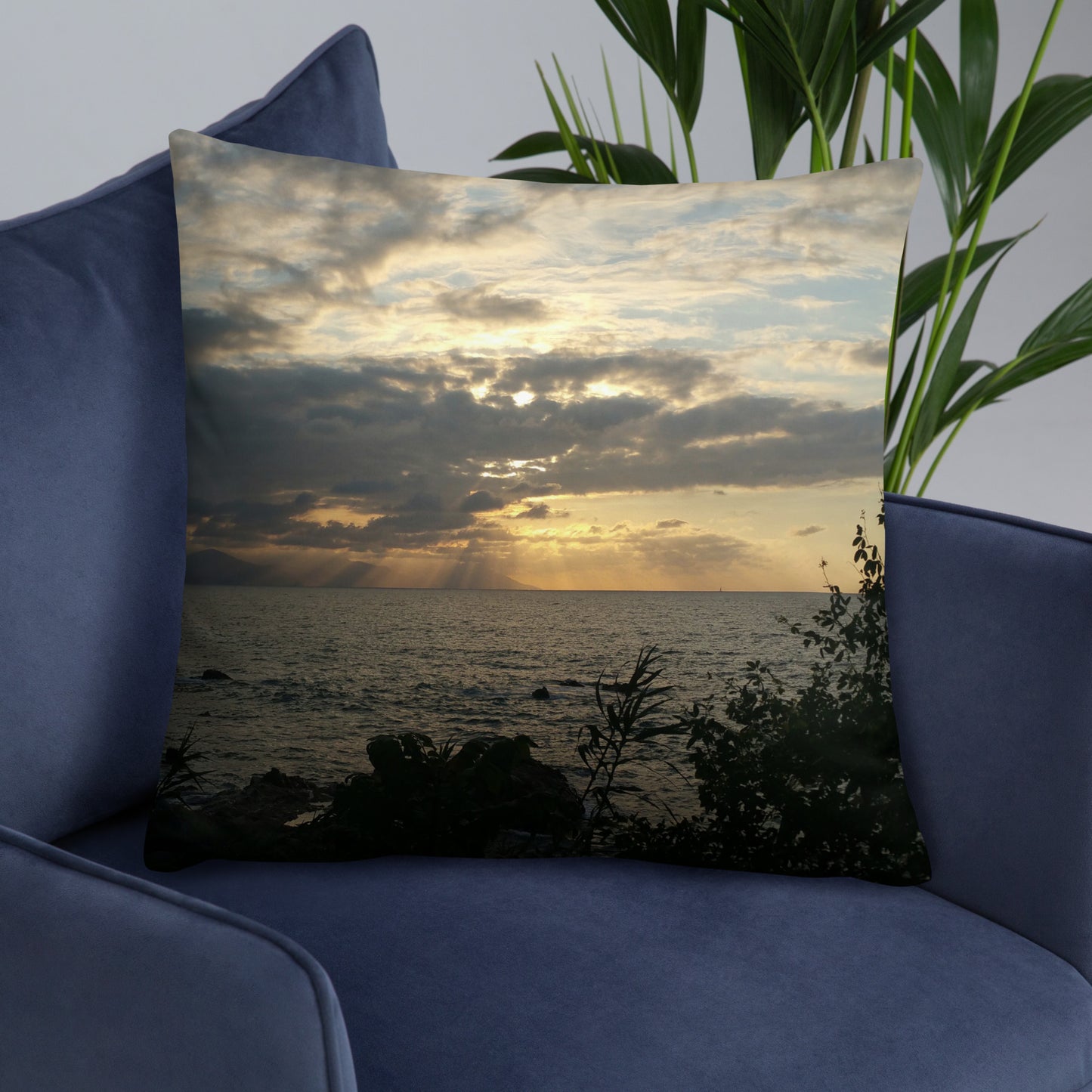 Presence of Mind Pillow