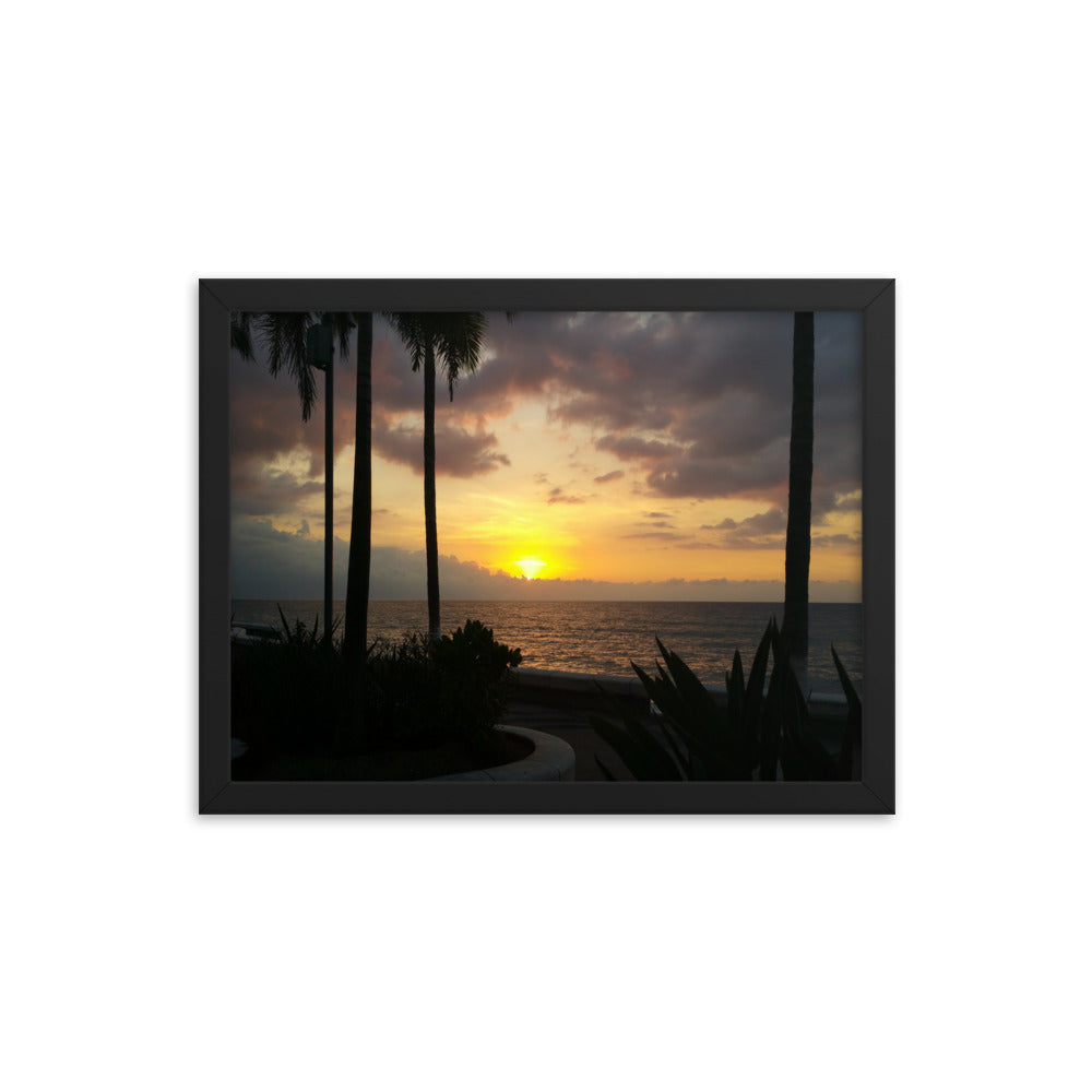 Sunset Palms poster