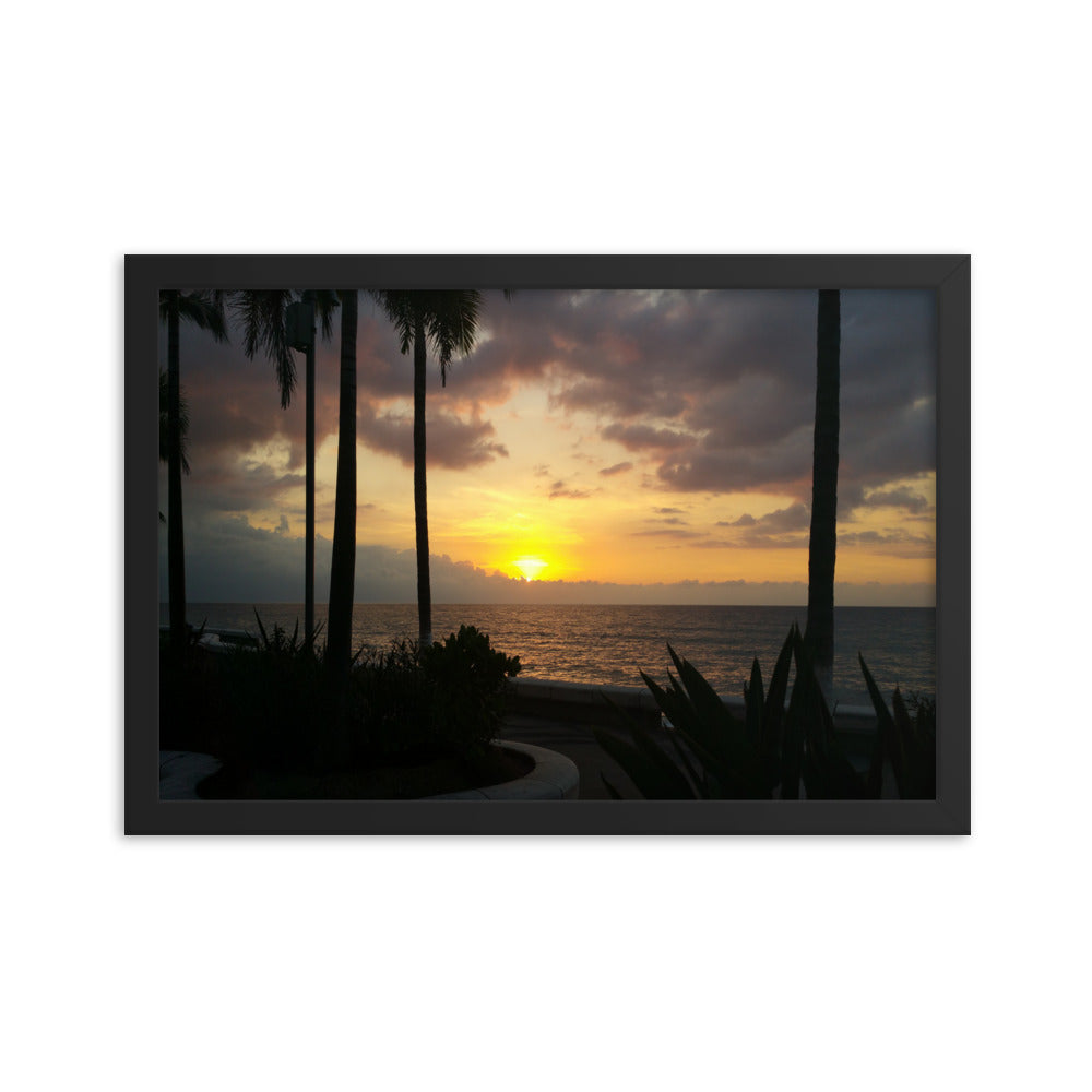 Sunset Palms poster