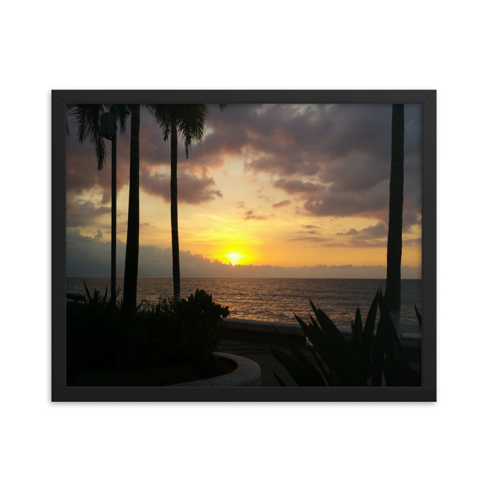 Sunset Palms poster