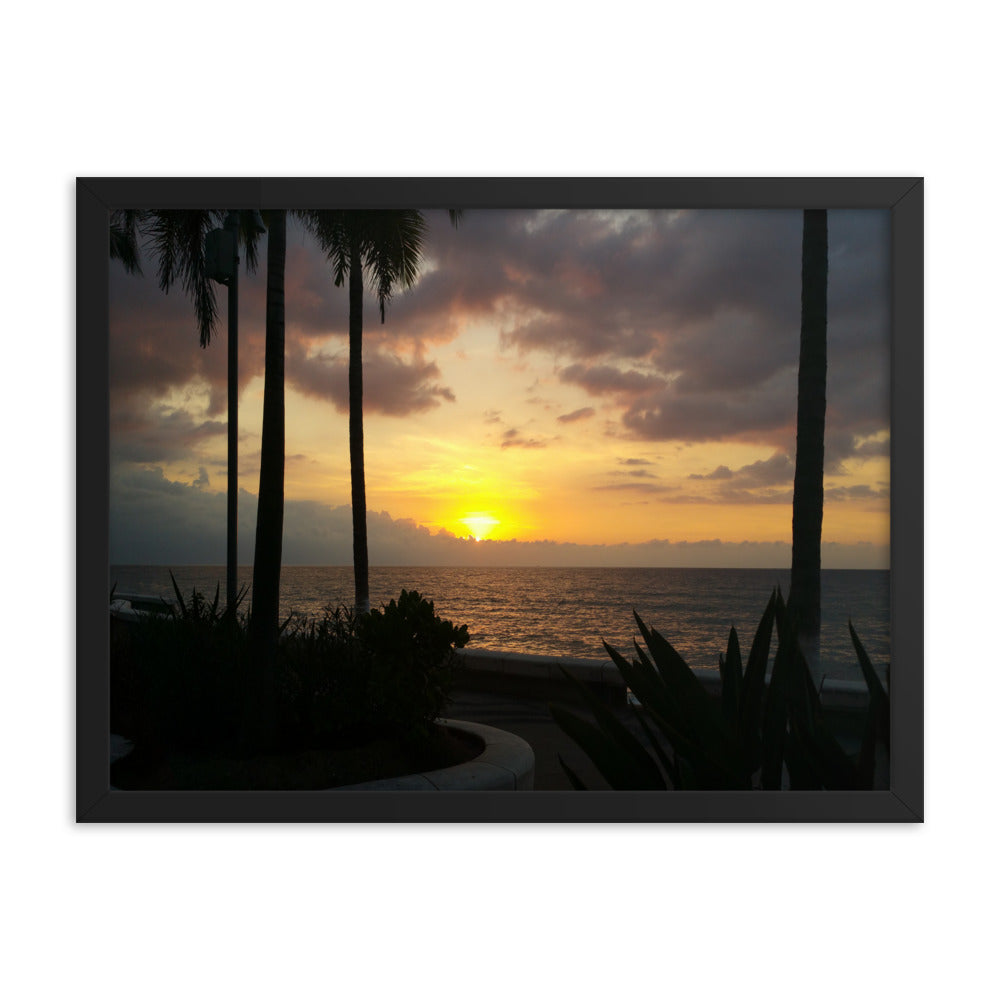 Sunset Palms poster