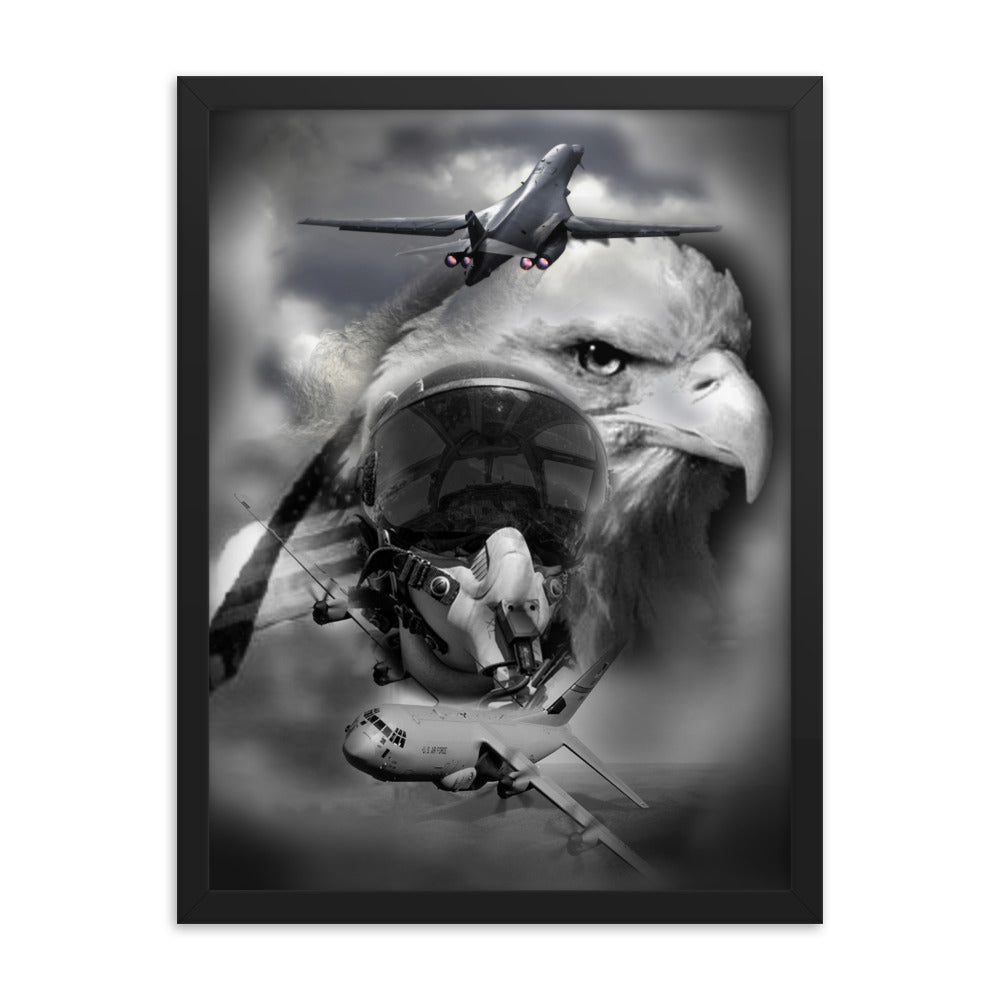 Freedom Framed poster