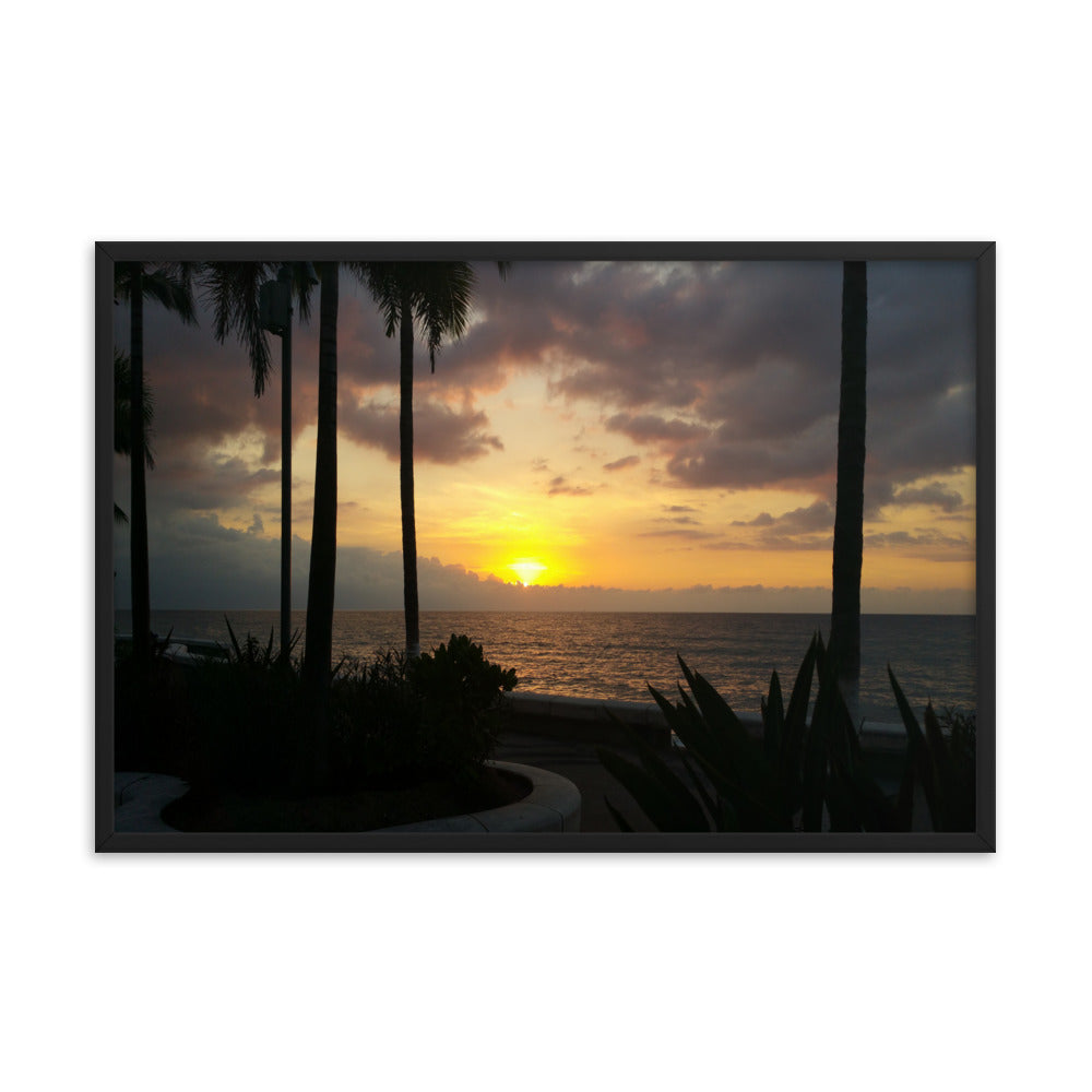 Sunset Palms poster